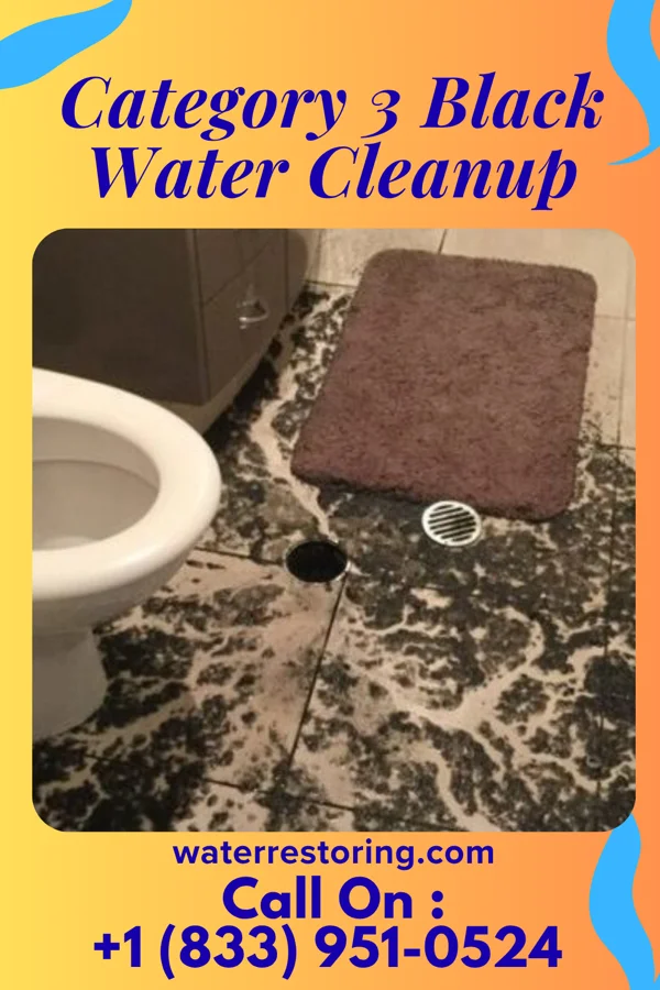 Category 3 Black Water Cleanup in Saw Creek, PA
