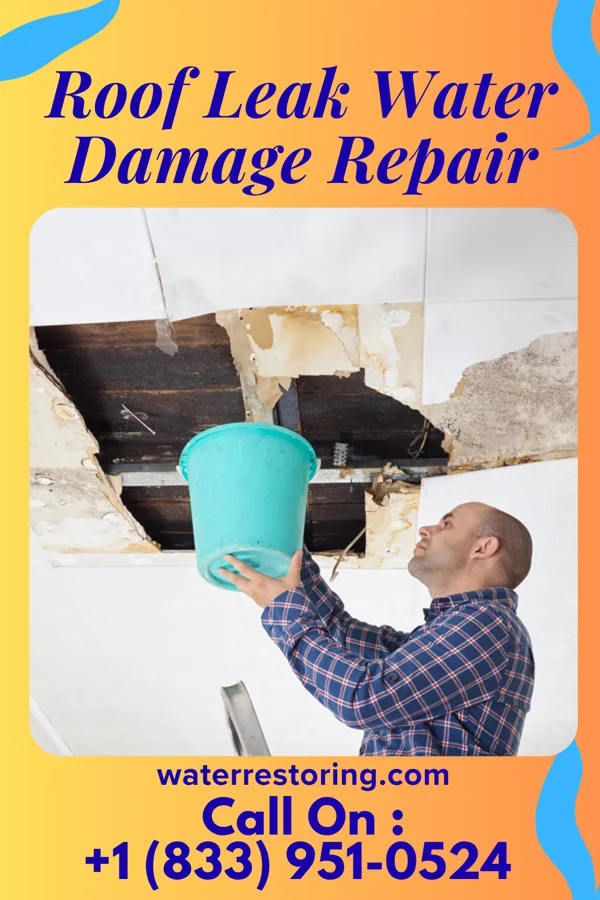 Roof Leak Water Damage Repair in Saw Creek, PA